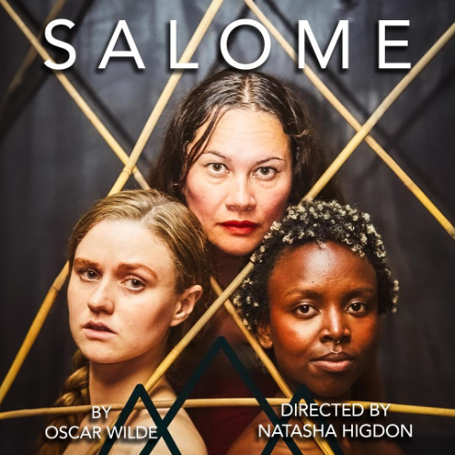 Salome image web